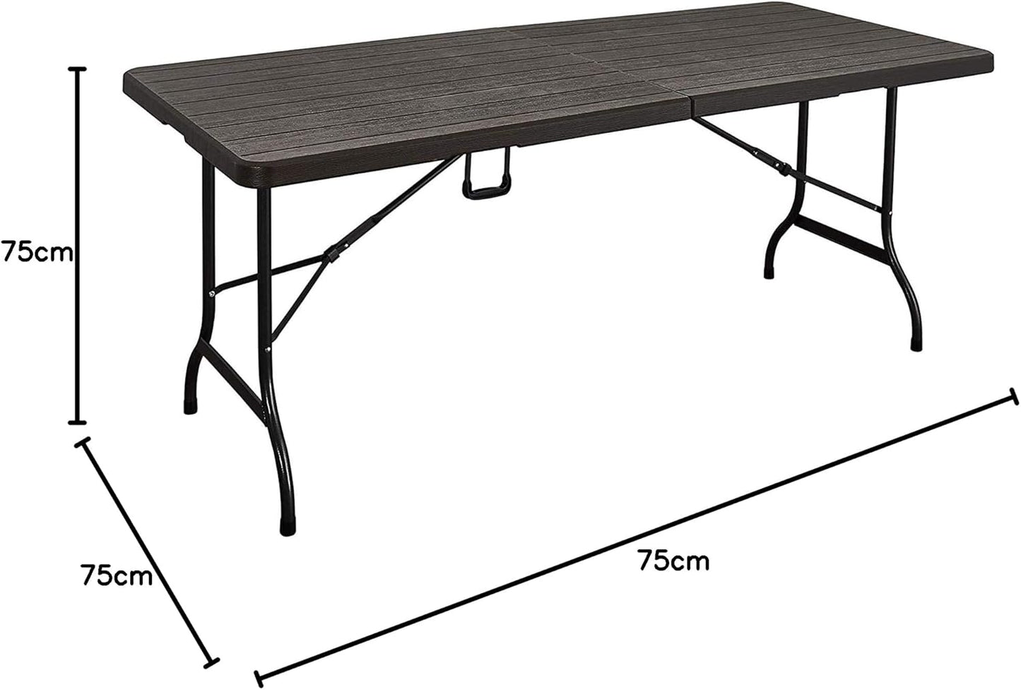 LANNY Portable Plastic Folding Table