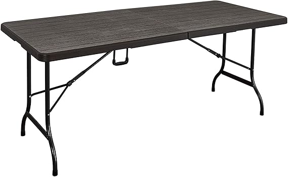 LANNY Portable Plastic Folding Table